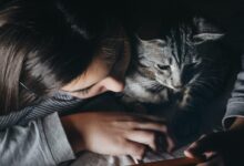 girl holding smartphone beside cat watching reclining to her shoulder