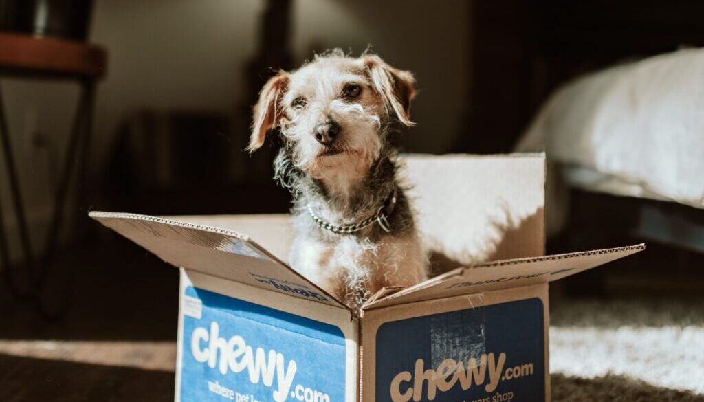 Photo by Chewy
