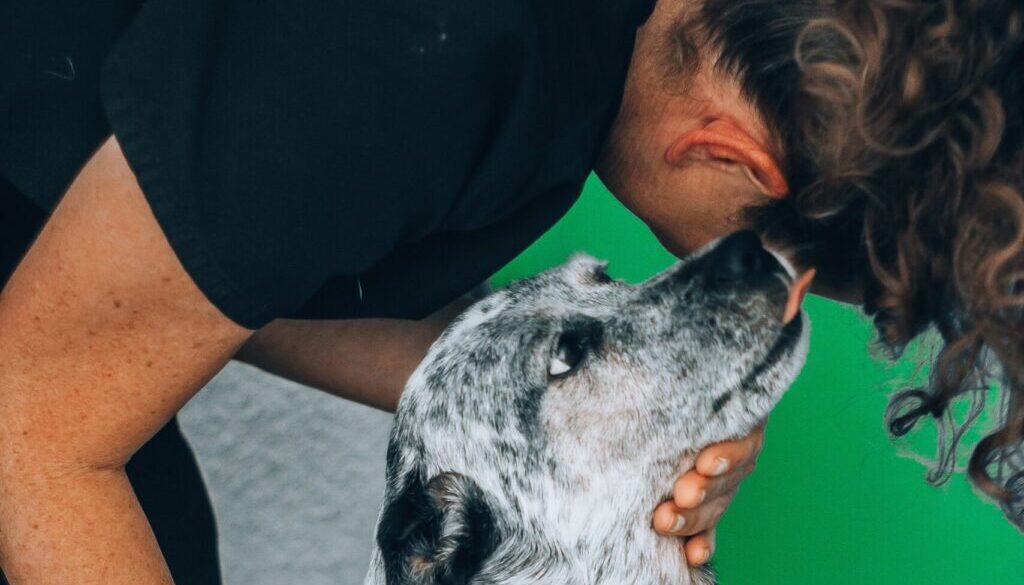Honest Paws / Unsplash.com person holding white and green labeled can