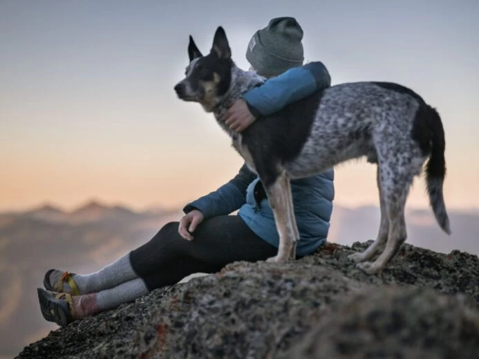 Photo of Person Holding Black And White Dog