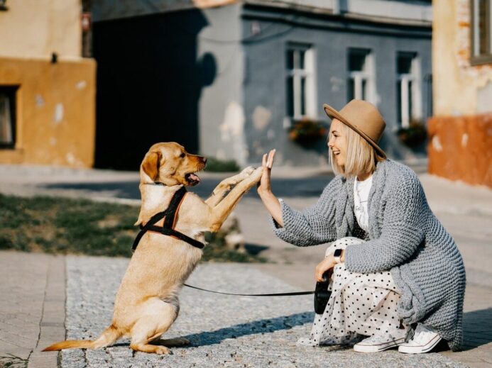 Výzkum ukázal, že téměř polovina majitelů domácích mazlíčků miluje svého psa nebo kočku více než svého partnera!