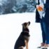 woman standing beside black dog on snow field