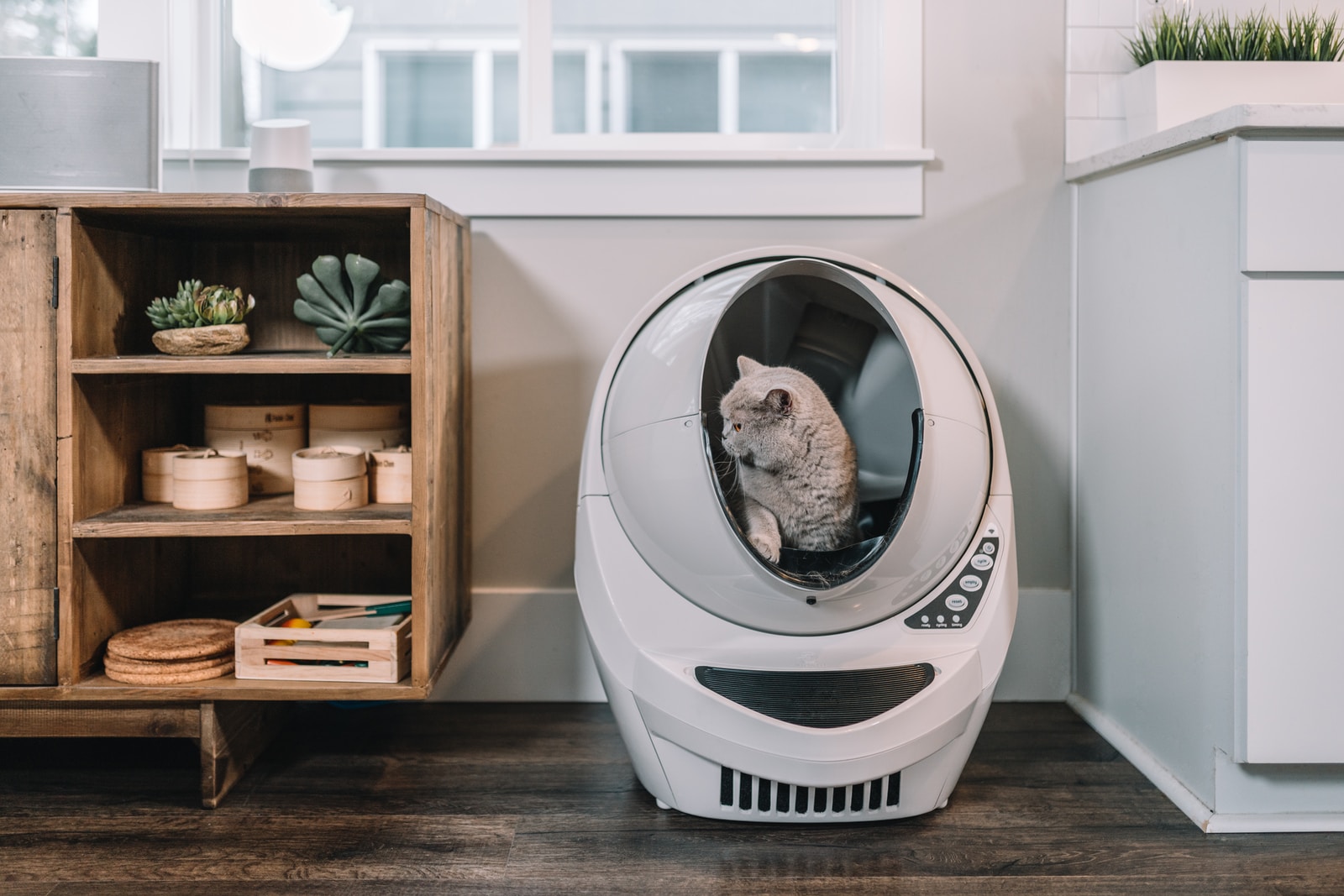 Litter Robot - NeposlušnéTlapky