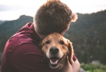 photo of man hugging tan dog