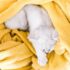 white cat on yellow textile