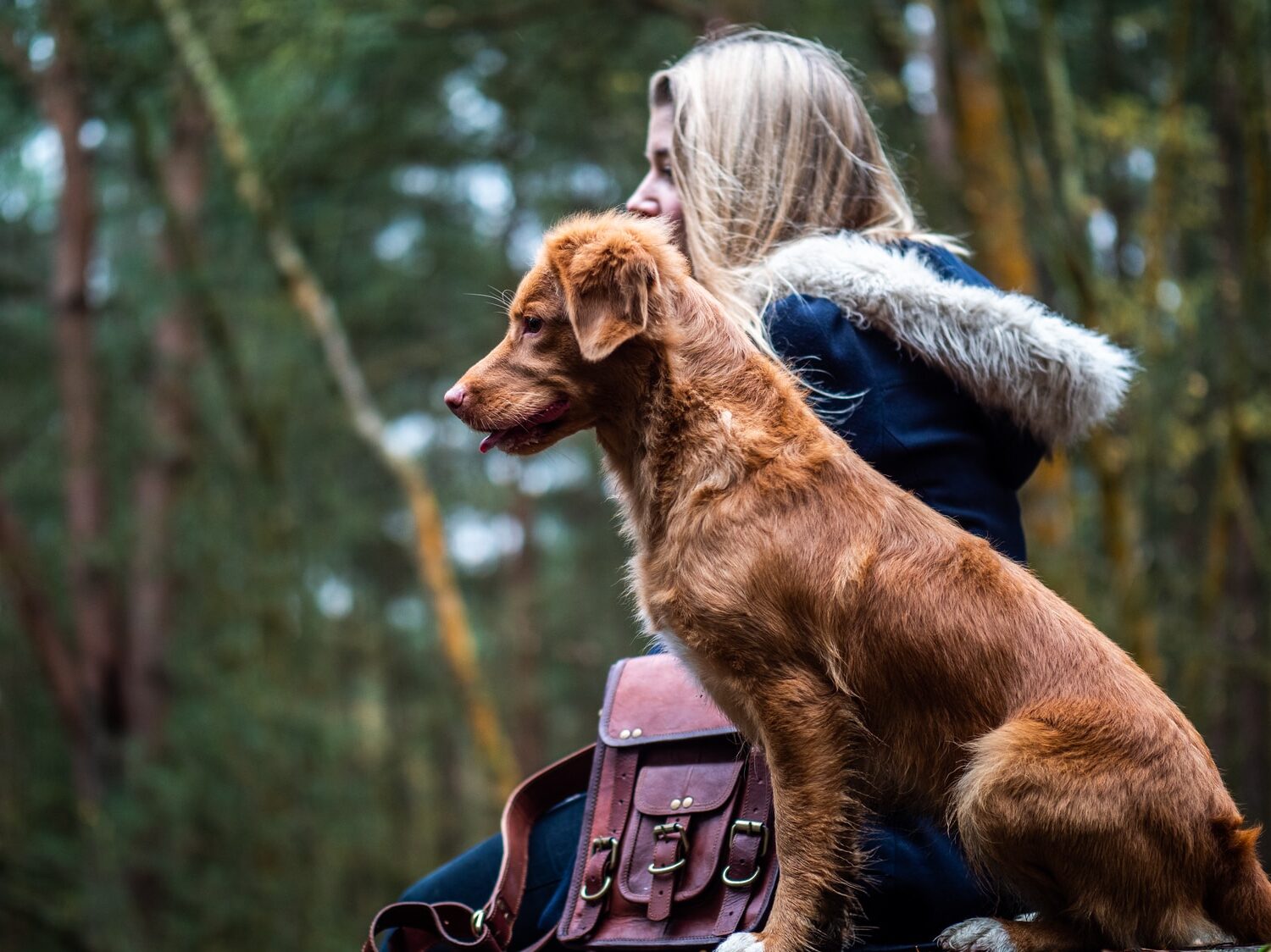 woman sitting beside tan dog on forest