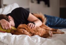 person in black shirt lying on bed