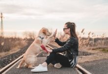 woman sitting and playing with dog outdoors