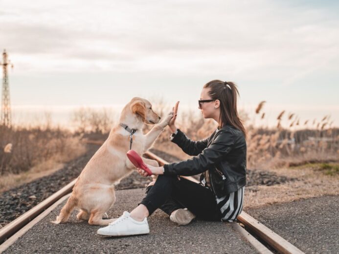 woman sitting and playing with dog outdoors