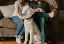 couple sitting on sofa beside dog inside room