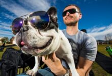 man in black sunglasses holding white short coated dog