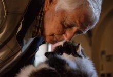 man in black and white jacket holding white and black cat