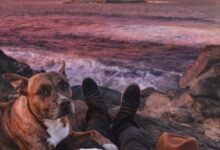 person sitting on rock beside of brindle through sea waves crashing on rock