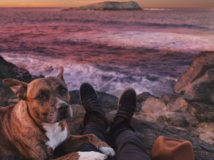 person sitting on rock beside of brindle through sea waves crashing on rock
