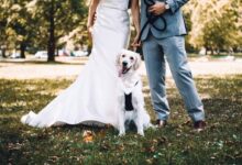 man and woman holding white short coated dog