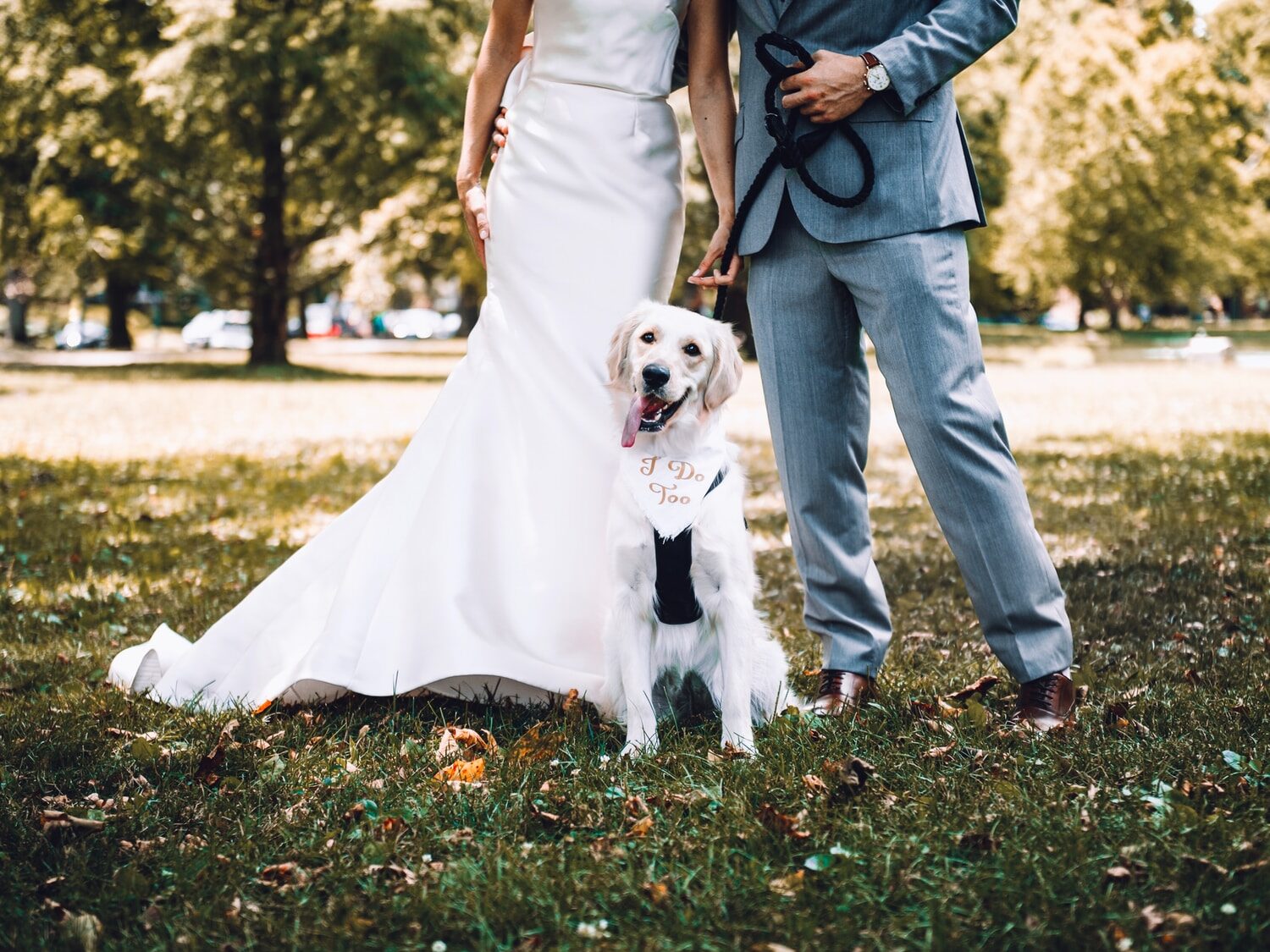 man and woman holding white short coated dog