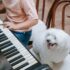 A Kid Playing the Piano and a Dog Sitting on a Chair