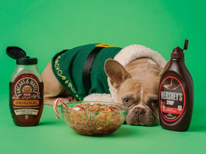 brown and white french bulldog in green and yellow hat