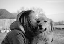 grayscale photo of woman kissing golden retriever