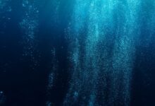 photography of blue water