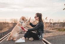 woman sitting and playing with dog outdoors