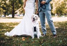 man and woman holding white short coated dog