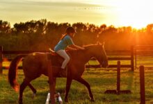 girl riding horse near ramps during sunset