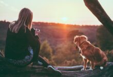 woman near brown dog