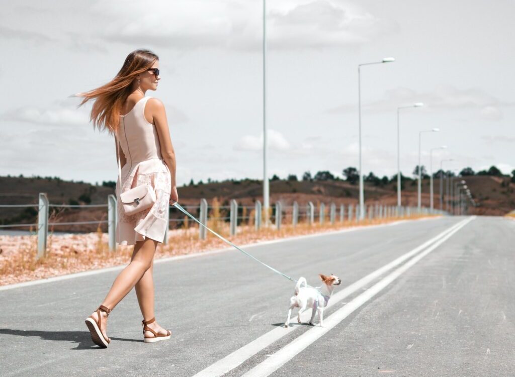 woman in white sleeveless dress holding harness of puppy walking on asphalt road during daytime