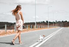 woman in white sleeveless dress holding harness of puppy walking on asphalt road during daytime