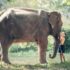 elephant and boy
