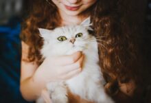 woman holding white cat