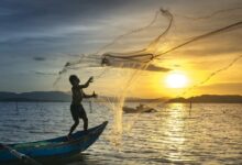Fisherman throwing Fish Net on Lake