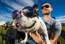 man in black sunglasses holding white short coated dog