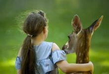 Girl Wearing Blue Top With her hand around a deer