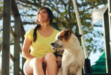 woman in yellow shirt sitting beside white and brown short coated dog