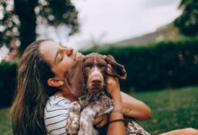woman in white and black stripe tank top hugging brown and white short coated dog