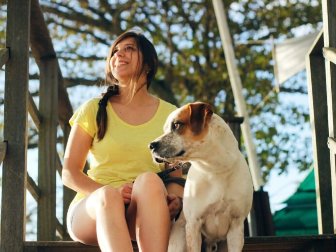 woman in yellow shirt sitting beside white and brown short coated dog
