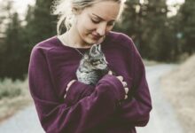 selective focus photography of woman hugging gray kitten