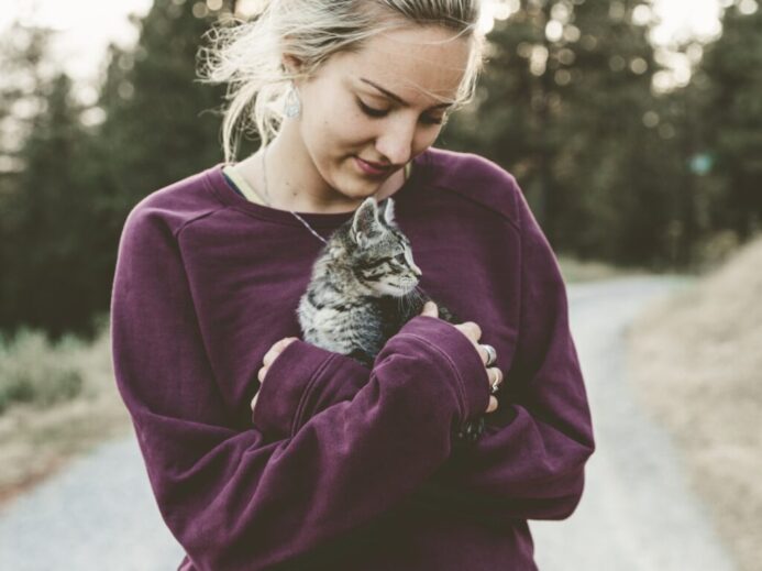 selective focus photography of woman hugging gray kitten