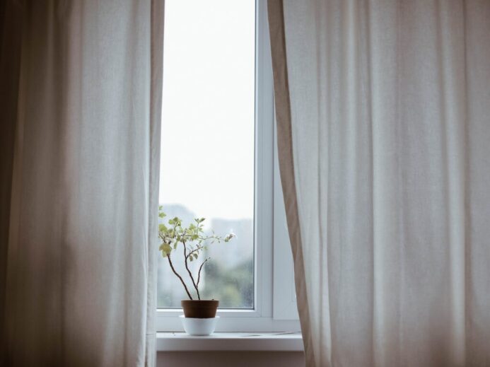 potted plant on window with curtain