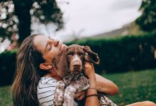 woman in white and black stripe tank top hugging brown and white short coated dog