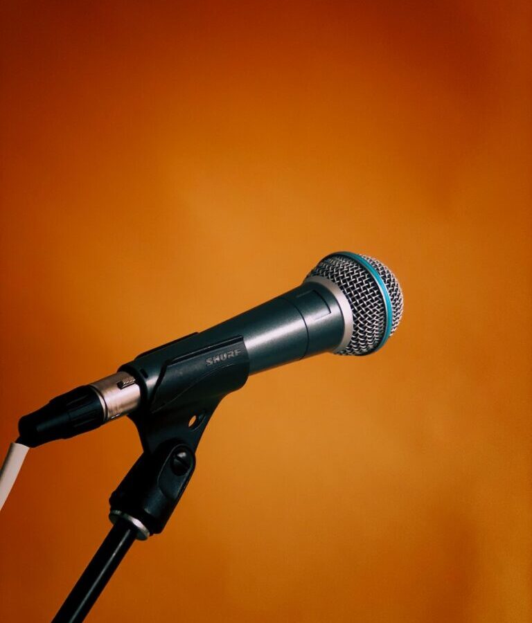 black and gray microphone on microphone stand