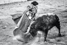 grayscale photo of matador and bull