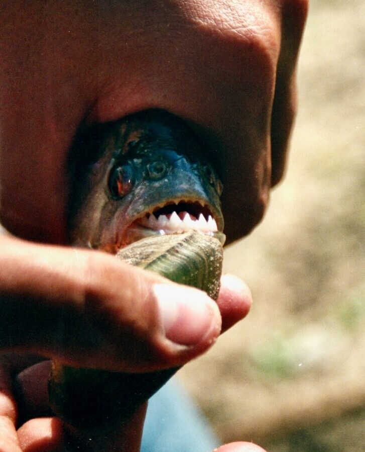 person with blue and black paint on his mouth