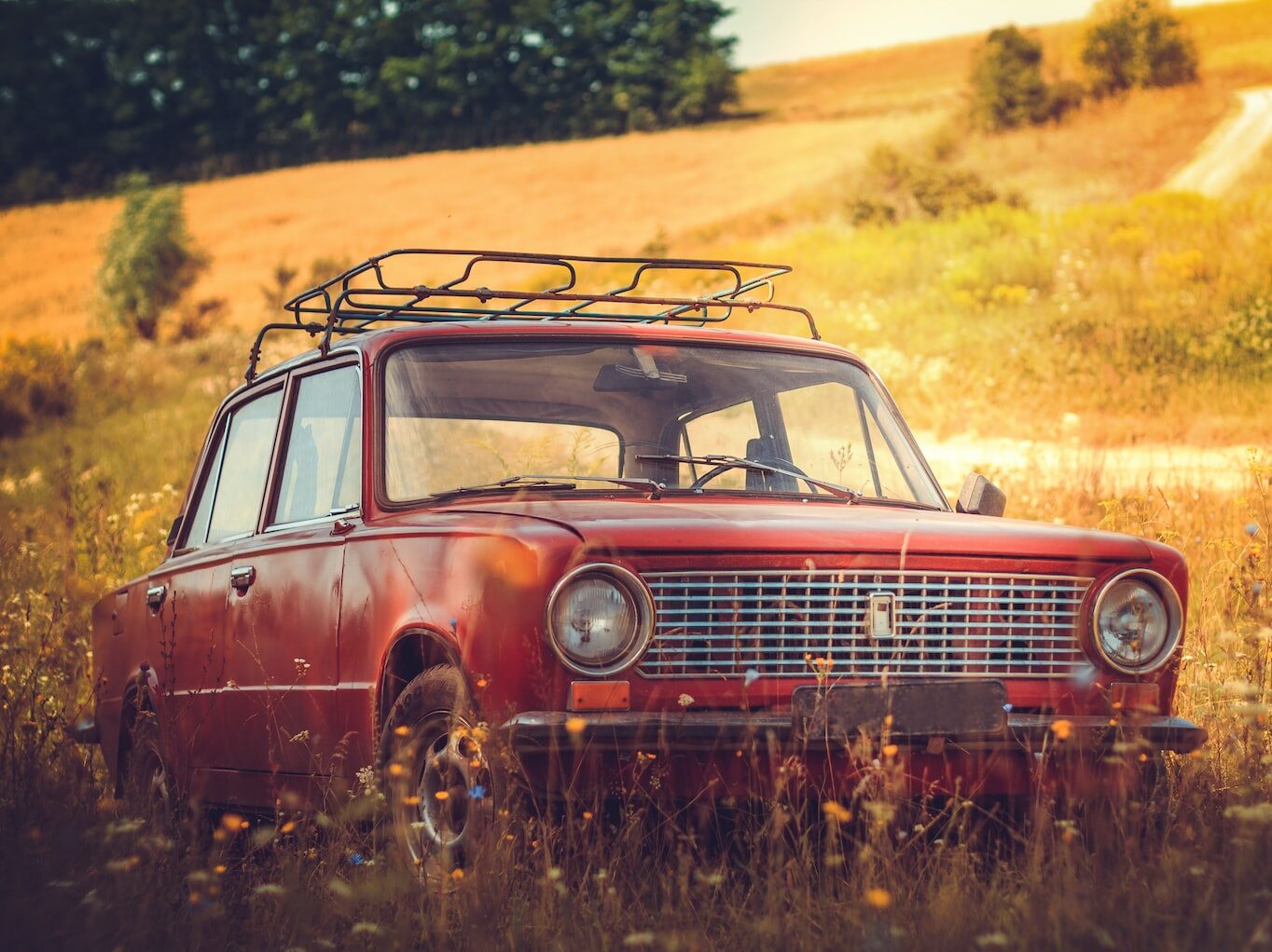 classic red car on grass field