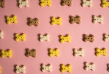 yellow and black cat stickers