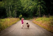 A Girl in Pink Sports Wear Running on a Road with a Dog