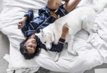 woman lying on bed with white Siberian husky