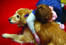 Norman West Therapy Dogs